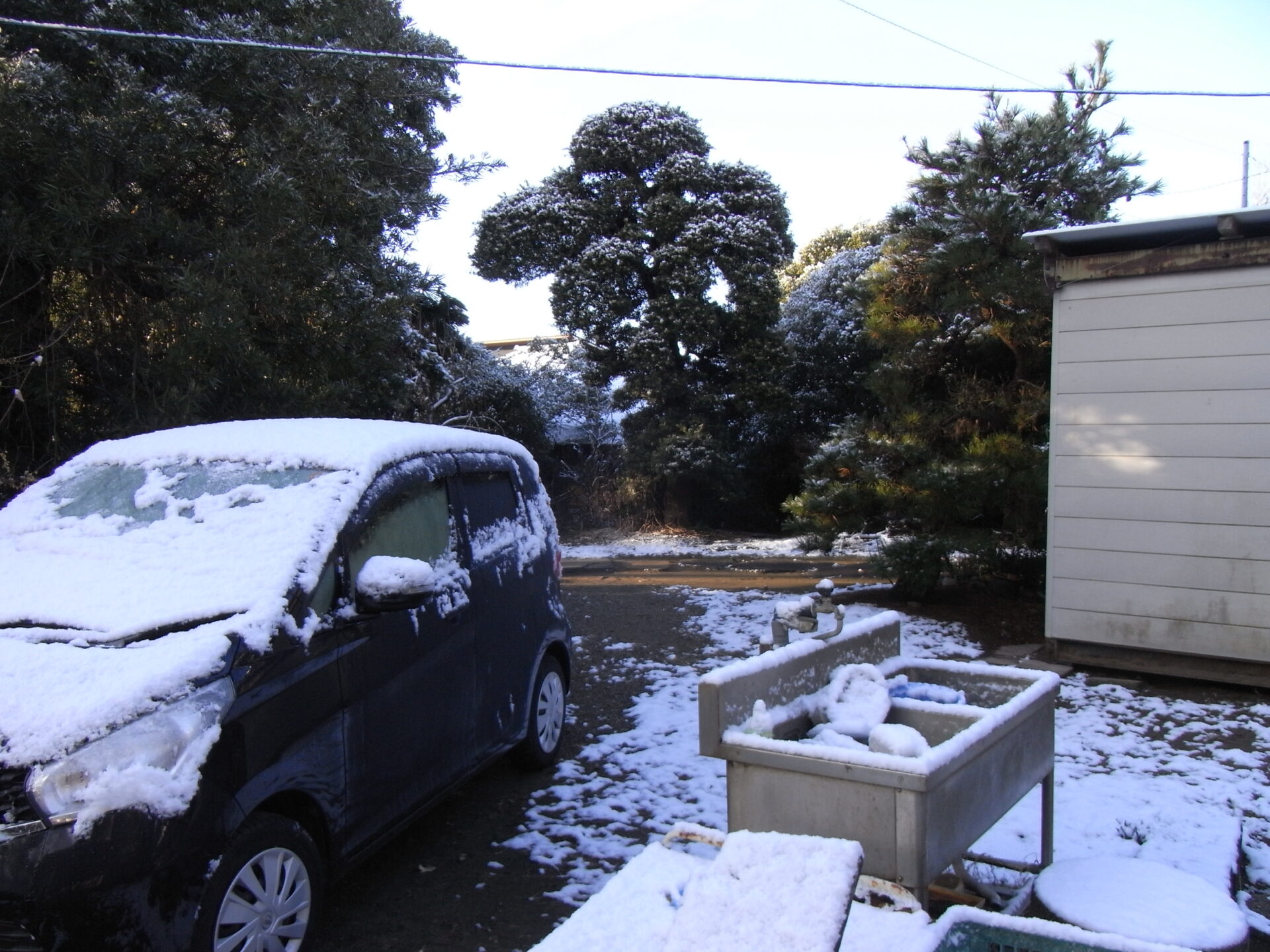 とうちゃんのaaSosa_tayori2026_1