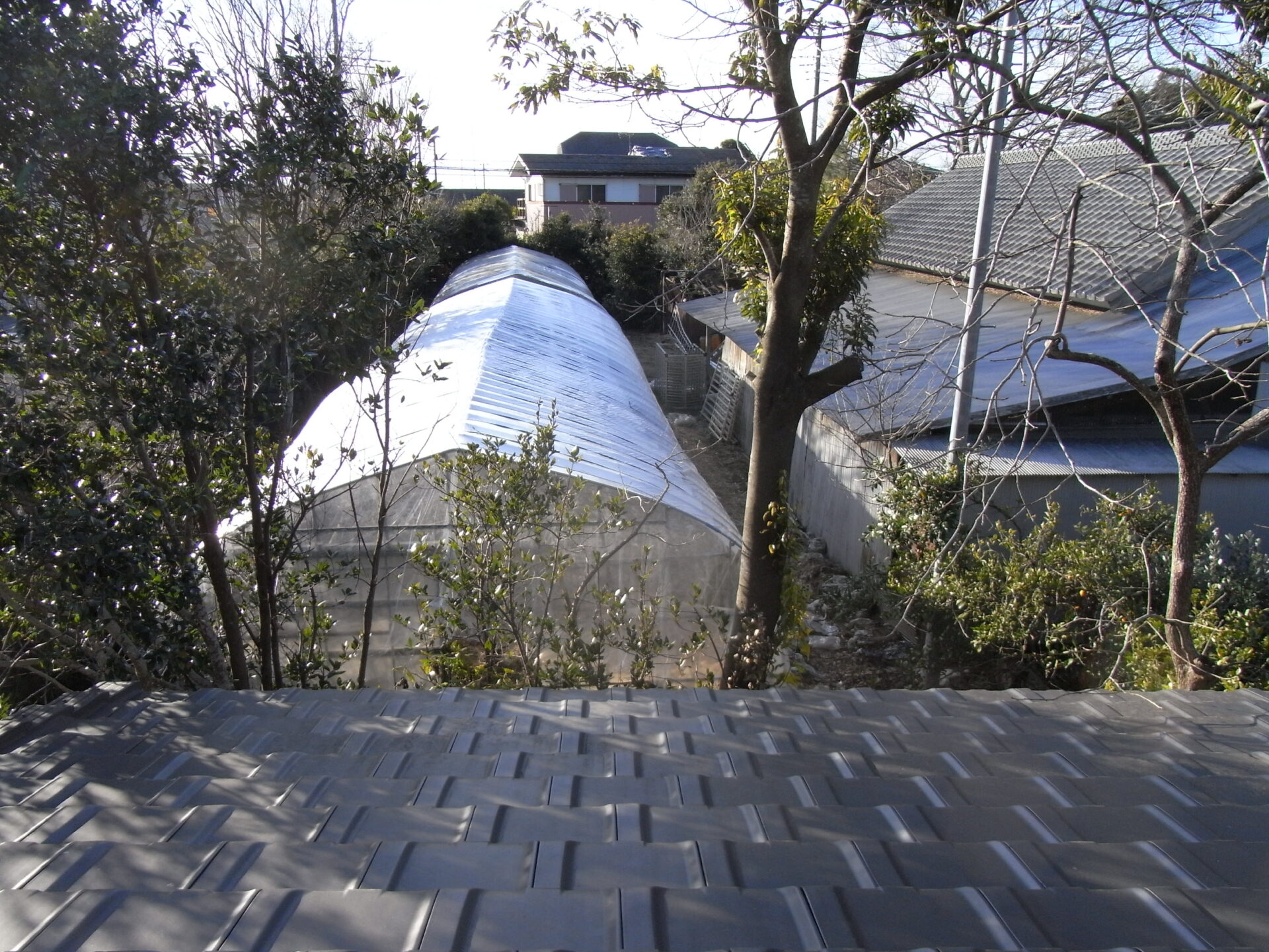 とうちゃんのaaSosa_tayori2026_3